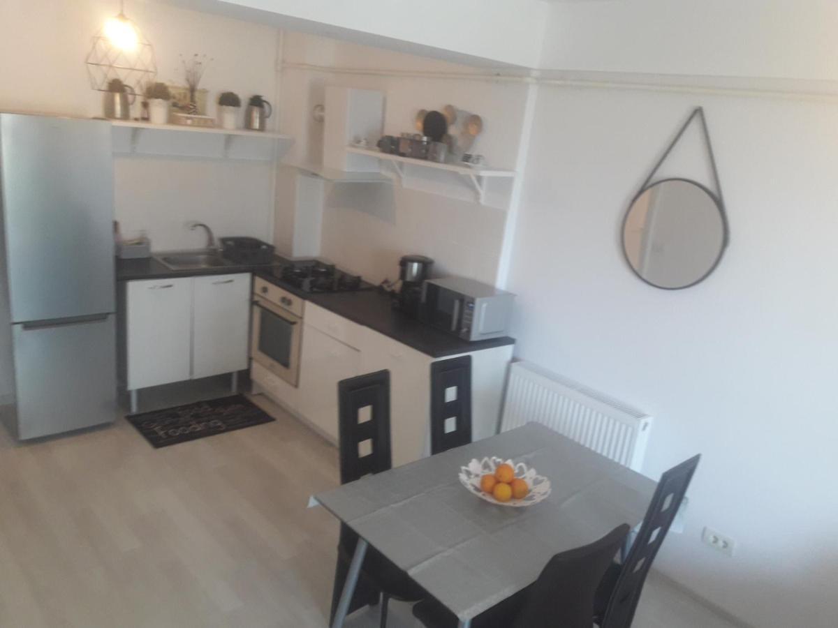 Apartament Amphora Pe Plaja Năvodari Zewnętrze zdjęcie